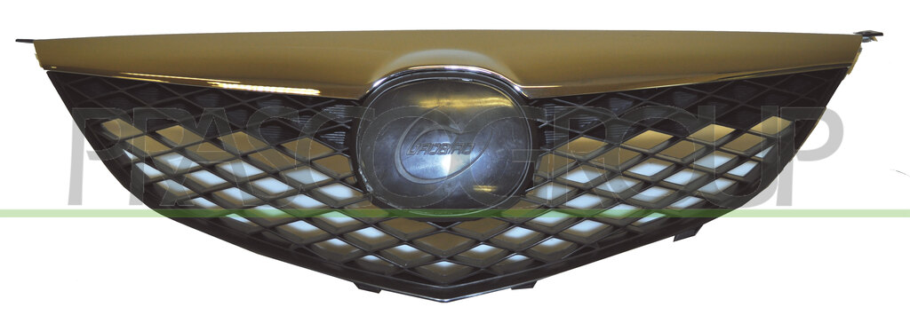 RADIATOR GRILLE-CHROME-BLACK