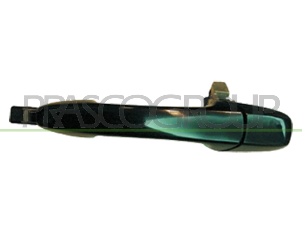 REAR DOOR HANDLE LEFT-OUTER-BLACK-SMOOTH-WITHOUT KEY HOLE
