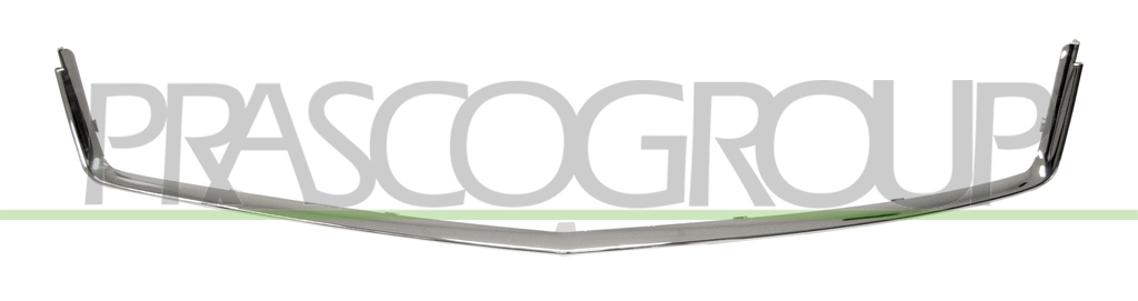 GRILLE MOLDING-LOWER-CHROME