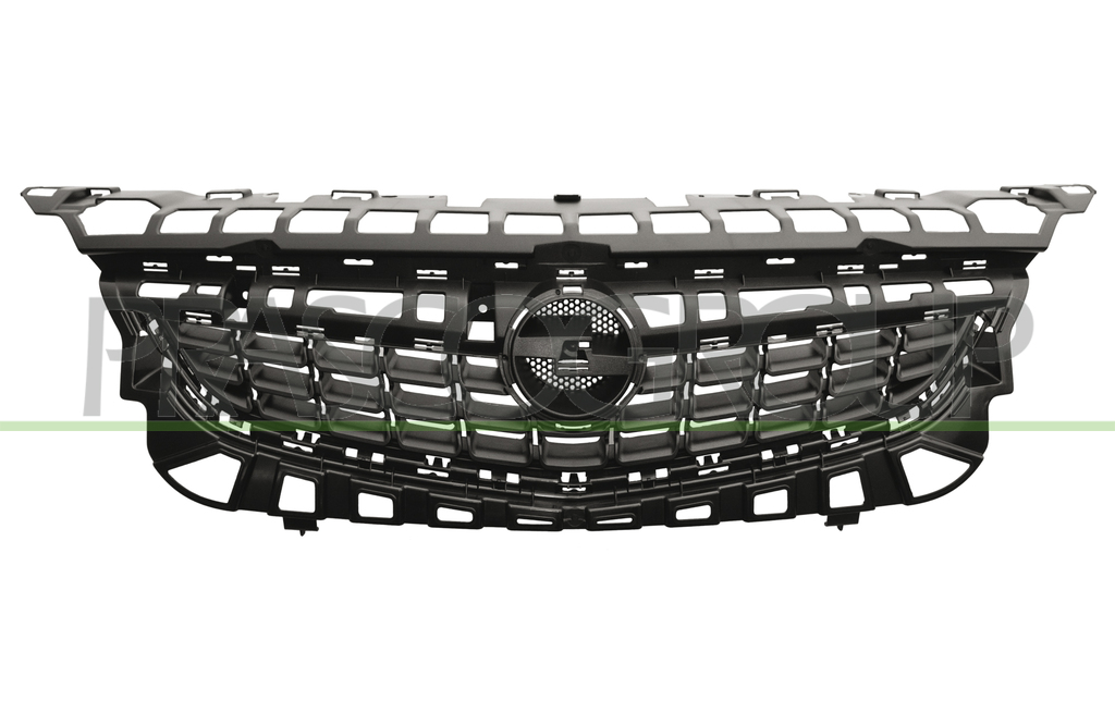 RADIATOR GRILLE