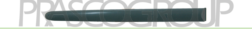 REAR DOOR MOLDING-RIGHT-BLACK-TEXTURED FINISH