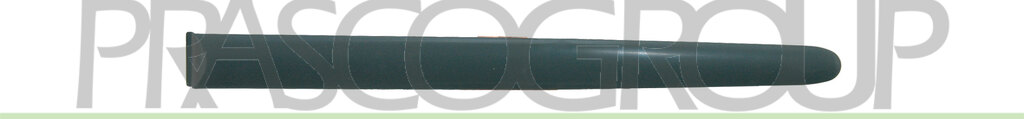 REAR DOOR MOLDING LEFT-BLACK-TEXTURED FINISH