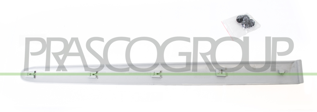 MODANATURA PORTA POSTERIORE DESTRA-GRIGIA-LISCIA MOD. 5 PORTE