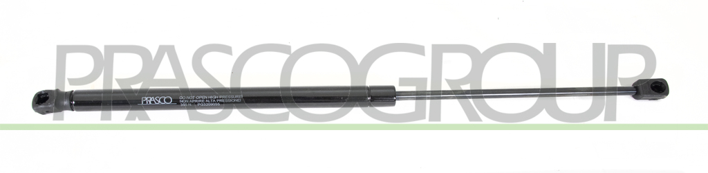 MOLLA A GAS DESTRA/SINISTRA PORTELLONE POSTERIORE - 355 N - L 507 mm - C 210 mm - Ø 18 mm - Ø 8 mm