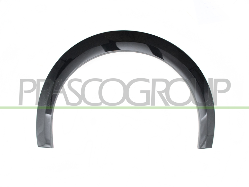 RADLAUFLEISTE HINTEN LINKS-SCHWARZ-GLAENZEND