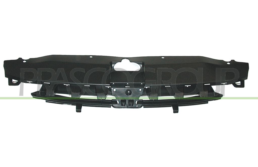 RADIATOR GRILLE