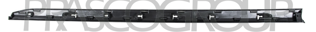 FRONT DOOR MOLDING RIGHT-BLACK-TEXTURED FINISH-WITH PROFILE HOLES