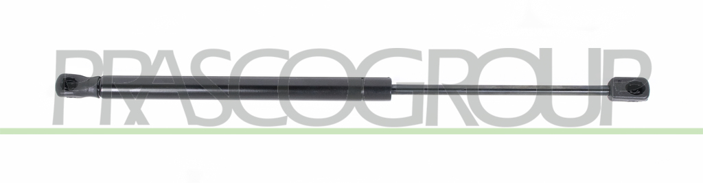 AMORTIGUADOR DE MALETERO DERECHO/IZQUIERDO PORTON TRASERO - 500 N - L 419 mm - C 160 mm - Ø 18 mm - Ø 8 mm