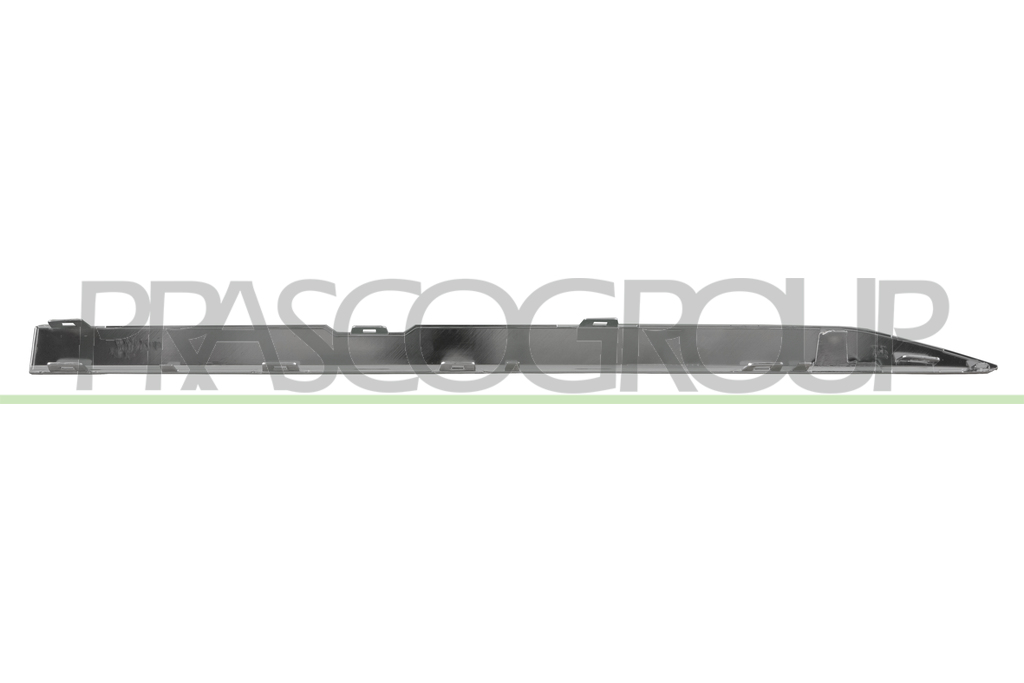 REAR DOOR PROFILE RIGHT-CHROME