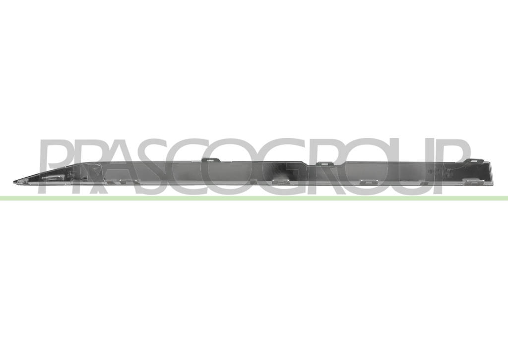 REAR DOOR PROFILE LEFT-CHROME