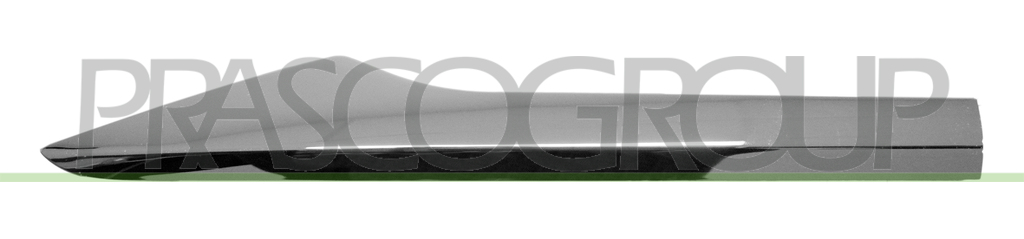 REAR DOOR PROFILE RIGHT-CHROME