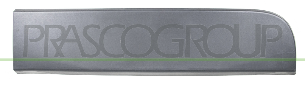 REAR DOOR MOLDING LEFT-WITH CLIPS-BLACK-TEXTURED FINISH