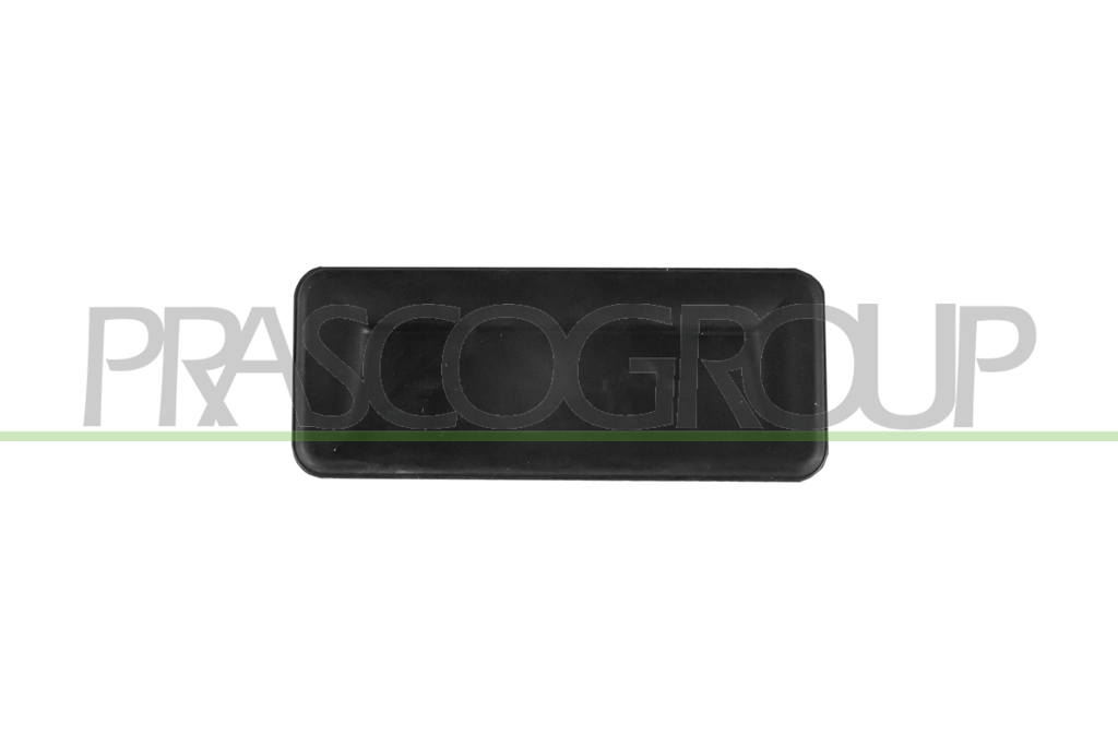 MANETA EXTERIOR PORTON TRASERO-NEGRA CON MICROINTERRUPTOR