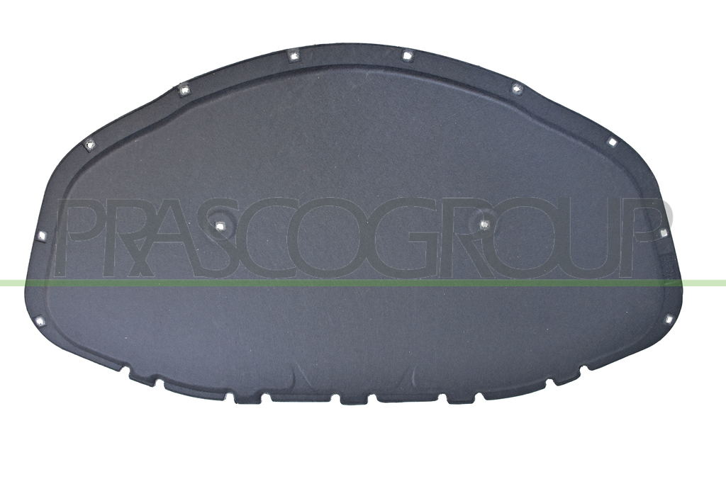 HOOD INSULATING MAT-12 CLIPS