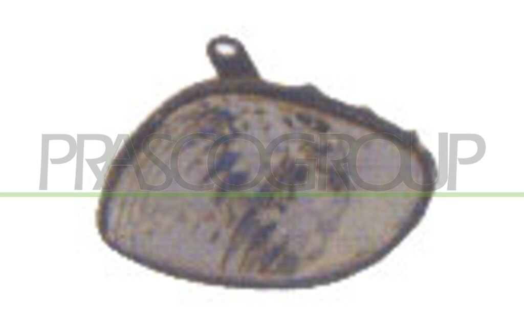 FRONT INDICATOR LEFT-CLEAR-WITH BULB HOLDER