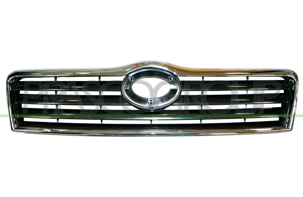 RADIATOR GRILLE WITH CHROME MOLDING