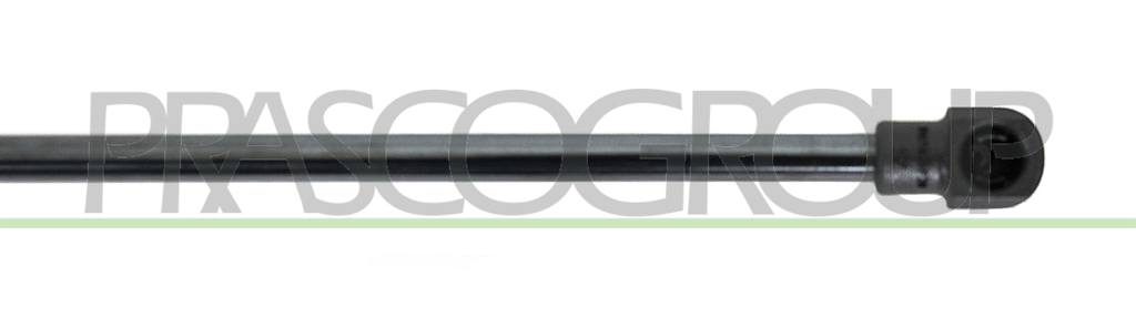 GASDRUCKFEDER HECKKLAPPE RECHTS UND LINKS-350 N-L 500 mm-H 205 mm-Ø 18 mm-Ø 8 mm