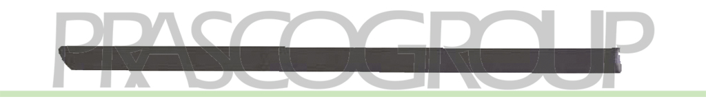 REAR DOOR MOLDING-RIGHT-BLACK-TEXTURED FINISH MOD. STATION WAGON
