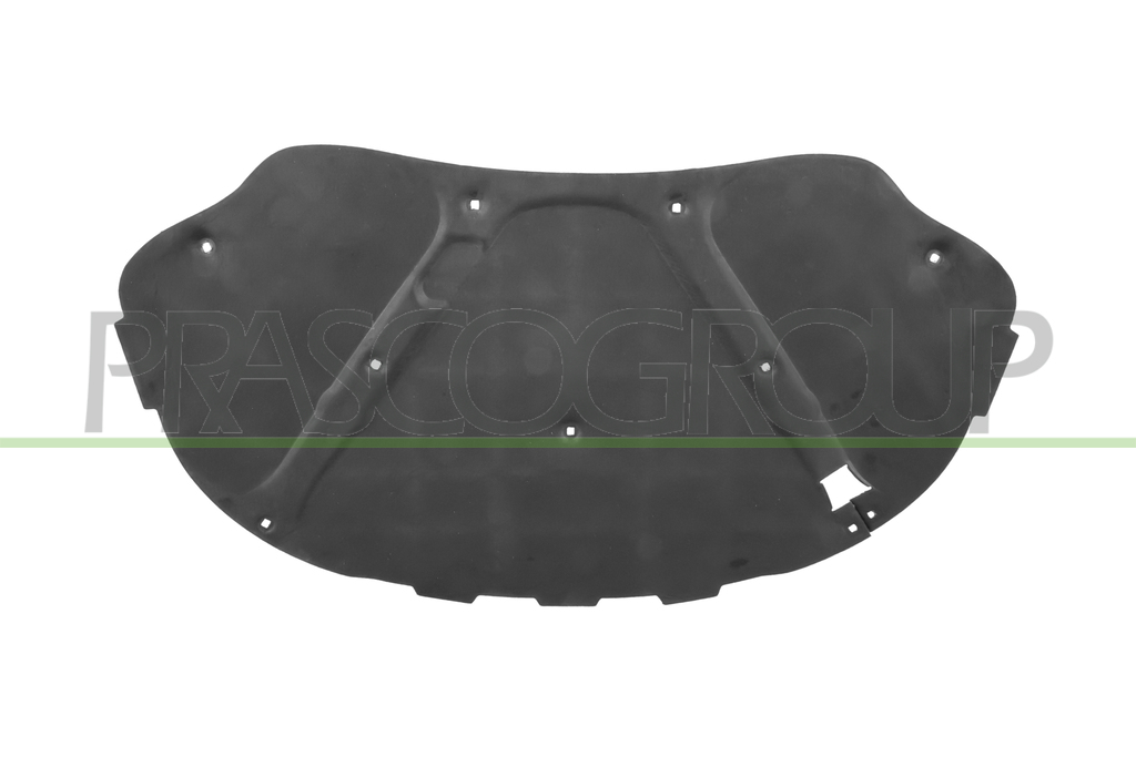 SCHALLSCHUTZ HAUBE-10 CLIPS