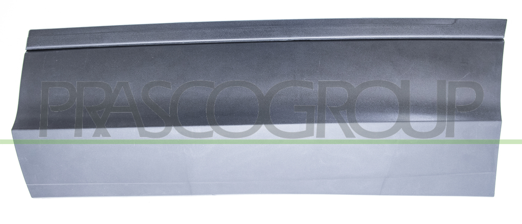 REAR DOOR MOLDING LEFT-WITH BIADHESIVE-BLACK-TEXTURED FINISH