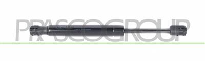 AMORTIGUADOR DE MALETERO DERECHO/IZQUIERDO PORTON TRASERO - 1180 N - L 252 mm - C 80 mm - Ø 22 mm - Ø 10 mm MOD. FAMILIAR