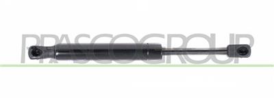 AMORTIGUADOR DE MALETERO DERECHO/IZQUIERDO PORTON TRASERO - 1180 N - L 252 mm - C 80 mm - Ø 22 mm - Ø 10 mm MOD. FAMILIAR