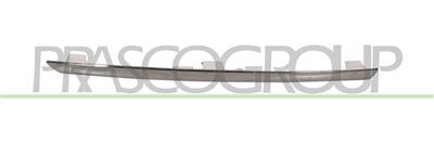 FRONT BUMPER MOLDING-RIGHT