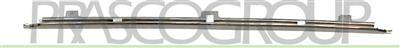 FRONT PLATE HOLDER CHROME PROFILE