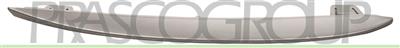 GRILLE MOLDING-RIGHT-SILVER PAINTED-WITHOUT PDC