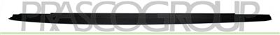 DOOR SILL COVER MOLDING LEFT-PRIMED MOD. M-TECH