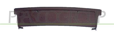 PORTE PLAQUE AVANT 