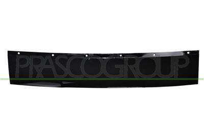 FRONT BUMPER MOLDING-CENTRE-BLACK-GLOSSY