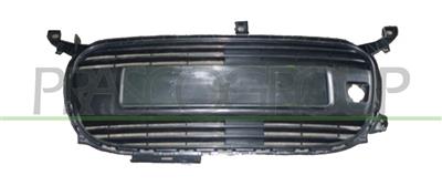 RADIATOR GRILLE