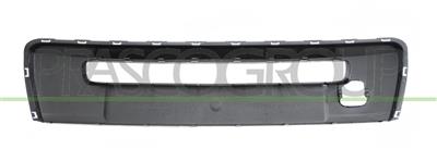 FRONT BUMPER MOLDING-CENTRE-BLACK PAINTED