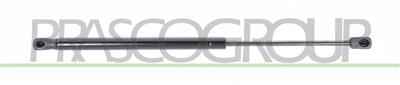 TAILGATE GAS SPRING RIGHT/LEFT-420 N-L 445 mm-S 170 mm-Ø 18 mm-Ø 8 mm