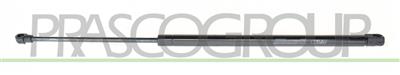 TAILGATE GAS SPRING RIGHT/LEFT - 425 N - L 545 mm - S 195 mm - Ø 18 mm - Ø 8 mm