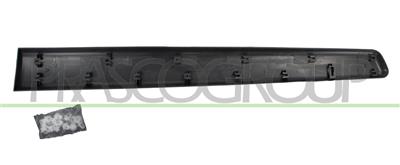FRONT RIGHT DOOR MOLDING-BLACK