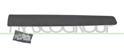 FRONT LEFT DOOR MOLDING-BLACK