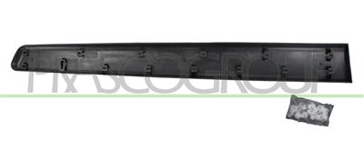 FRONT LEFT DOOR MOLDING-BLACK