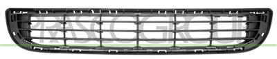 GRILLE DE PARE-CHOCS INFERIEURE NOIRE