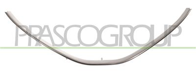 RADIATOR GRILLE MOLDING-LOWER-CHROME