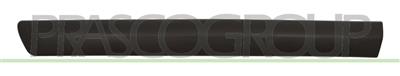 FRONT DOOR MOLDING LEFT-BLACK-TEXTURED FINISH