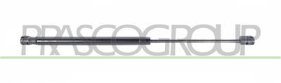 GASDRUCKFEDER HECKKLAPPE RECHTS UND LINKS-310 N-L 448 mm-H 180 mm-Ø 18 mm-Ø 8 mm