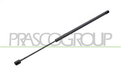 VERRIN DE HAYON A GAZ DROIT/GAUCHE - 440 N - L 600 mm - C 205 mm - Ø 18 mm - Ø 8 mm MOD. 5 PORTES