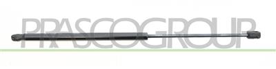AMORTIGUADOR DE CAPO DERECHO/IZQUIERDO - 335 N - L 545 mm - C 225 mm - Ø 18 mm - Ø 8 mm