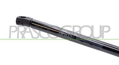 TAILGATE GAS SPRING RIGHT/LEFT - 385 N - L 600 mm - S 260 mm - Ø 18 mm - Ø 8 mm