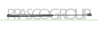 MOLLA A GAS DESTRA/SINISTRA PORTELLONE POSTERIORE - 460 N - L 570 mm - C 240 mm - Ø 18 mm - Ø 8 mm