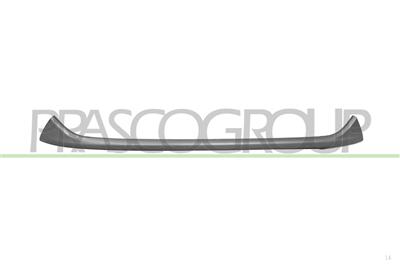 MOLDURA PARACHOQUES DELANTERO-INFERIOR-CENTRAL-PLATA