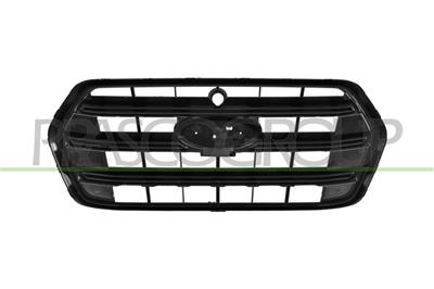 RADIATOR GRILLE-BLACK-WITH CAMERA VIEW HOLE