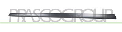 FRONT DOOR MOLDING-RIGHT-SMOOTH BLACK-FINISH-WITH BIADHESIVE